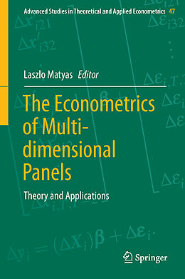 Fester Einband The Econometrics of Multi-dimensional Panels von 