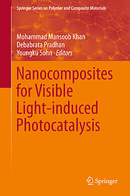 Fester Einband Nanocomposites for Visible Light-induced Photocatalysis von 