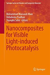 eBook (pdf) Nanocomposites for Visible Light-induced Photocatalysis de 