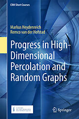 eBook (pdf) Progress in High-Dimensional Percolation and Random Graphs de Markus Heydenreich, Remco Van Der Hofstad