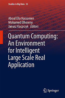 Fester Einband Quantum Computing:An Environment for Intelligent Large Scale Real Application von 