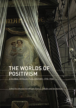 eBook (pdf) The Worlds of Positivism de 