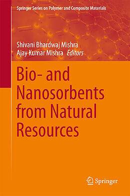Fester Einband Bio- and Nanosorbents from Natural Resources von 