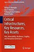 E-Book (pdf) Critical Infrastructures, Key Resources, Key Assets von Adrian V. Gheorghe, Dan V. Vamanu, Polinpapilinho F. Katina