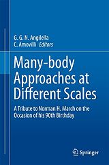 eBook (pdf) Many-body Approaches at Different Scales de 