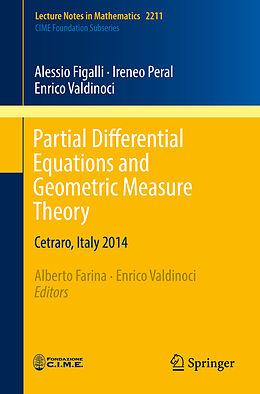 Kartonierter Einband Partial Differential Equations and Geometric Measure Theory von Alessio Figalli, Ireneo Peral, Enrico Valdinoci
