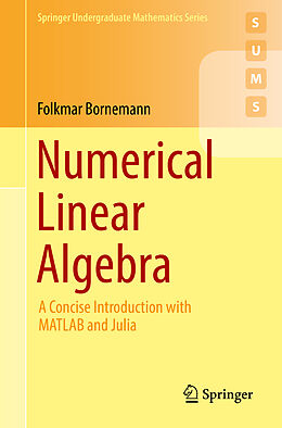 Kartonierter Einband Numerical Linear Algebra von Folkmar Bornemann