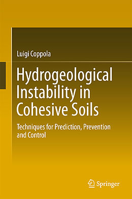 Fester Einband Hydrogeological Instability in Cohesive Soils von Luigi Coppola