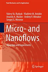 eBook (pdf) Micro- and Nanoflows de Valery Ya. Rudyak, Vladimir M. Aniskin, Anatoly A. Maslov