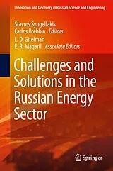 Fester Einband Challenges and Solutions in the Russian Energy Sector von 