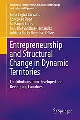 Fester Einband Entrepreneurship and Structural Change in Dynamic Territories von 