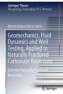 Fester Einband Geomechanics, Fluid Dynamics and Well Testing, Applied to Naturally Fractured Carbonate Reservoirs von Nelson Enrique Barros Galvis