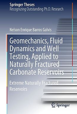 E-Book (pdf) Geomechanics, Fluid Dynamics and Well Testing, Applied to Naturally Fractured Carbonate Reservoirs von Nelson Enrique Barros Galvis