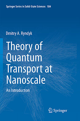 Kartonierter Einband Theory of Quantum Transport at Nanoscale von Dmitry Ryndyk