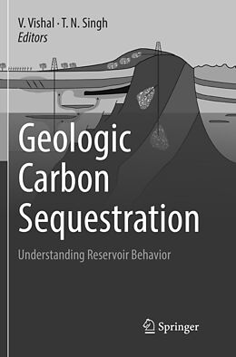 Couverture cartonnée Geologic Carbon Sequestration de 