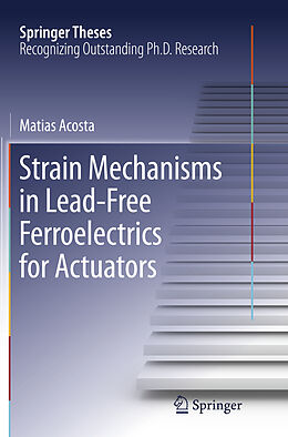 Kartonierter Einband Strain Mechanisms in Lead-Free Ferroelectrics for Actuators von Matias Acosta