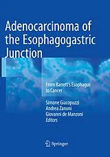 Kartonierter Einband Adenocarcinoma of the Esophagogastric Junction von