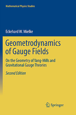 Couverture cartonnée Geometrodynamics of Gauge Fields de Eckehard W. Mielke