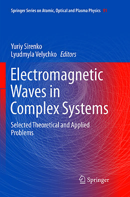Kartonierter Einband Electromagnetic Waves in Complex Systems von 