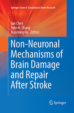 Kartonierter Einband Non-Neuronal Mechanisms of Brain Damage and Repair After Stroke von 