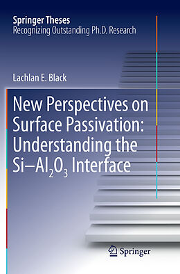 Kartonierter Einband New Perspectives on Surface Passivation: Understanding the Si-Al2O3 Interface von Lachlan E. Black