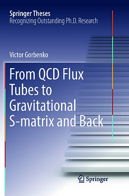 Kartonierter Einband From QCD Flux Tubes to Gravitational S-matrix and Back von Victor Gorbenko