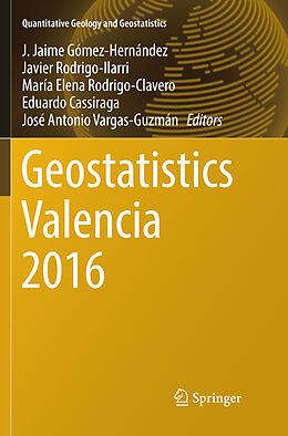 Kartonierter Einband Geostatistics Valencia 2016 von 