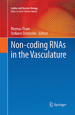 Kartonierter Einband Non-coding RNAs in the Vasculature von 