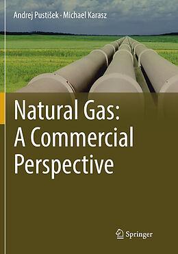 Kartonierter Einband Natural Gas: A Commercial Perspective von Michael Karasz, Andrej Pusti ek
