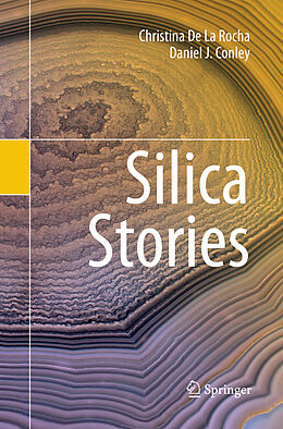 Kartonierter Einband Silica Stories von Daniel J. Conley, Christina De La Rocha