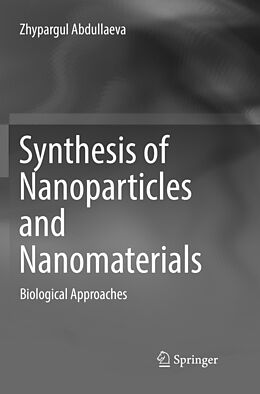 Kartonierter Einband Synthesis of Nanoparticles and Nanomaterials von Zhypargul Abdullaeva