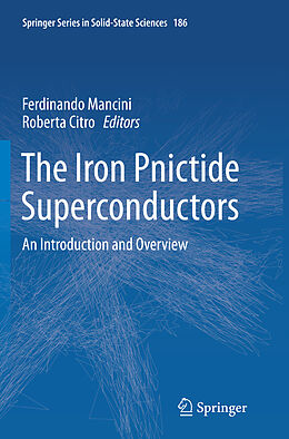 Kartonierter Einband The Iron Pnictide Superconductors von 