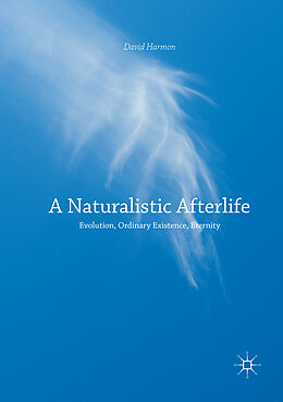 Kartonierter Einband A Naturalistic Afterlife von David Harmon