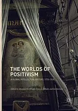 Kartonierter Einband The Worlds of Positivism von