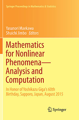 Kartonierter Einband Mathematics for Nonlinear Phenomena   Analysis and Computation von 