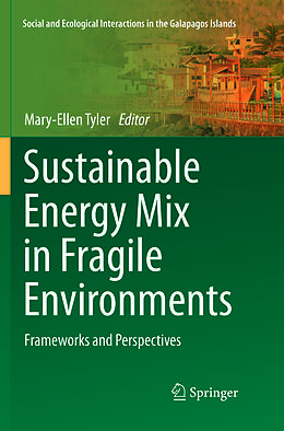 Kartonierter Einband Sustainable Energy Mix in Fragile Environments von 