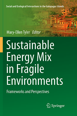 Couverture cartonnée Sustainable Energy Mix in Fragile Environments de 