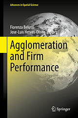 Livre Relié Agglomeration and Firm Performance de 