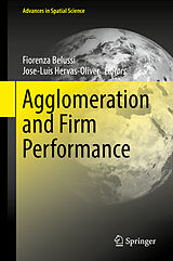 eBook (pdf) Agglomeration and Firm Performance de 