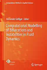 Fester Einband Computational Modelling of Bifurcations and Instabilities in Fluid Dynamics von 