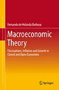 E-Book (pdf) Macroeconomic Theory von Fernando De Holanda Barbosa
