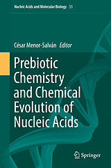 eBook (pdf) Prebiotic Chemistry and Chemical Evolution of Nucleic Acids de 