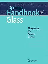 Fester Einband Springer Handbook of Glass von 