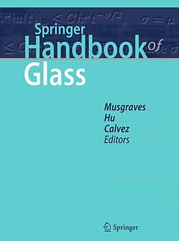 E-Book (pdf) Springer Handbook of Glass von 