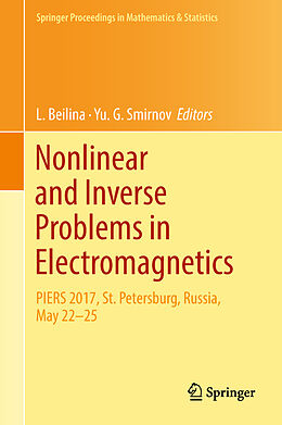 Fester Einband Nonlinear and Inverse Problems in Electromagnetics von 