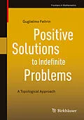 E-Book (pdf) Positive Solutions to Indefinite Problems von Guglielmo Feltrin