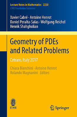 Kartonierter Einband Geometry of PDEs and Related Problems von Xavier Cabré, Antoine Henrot, Daniel Peralta-Salas