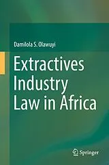 E-Book (pdf) Extractives Industry Law in Africa von Damilola S. Olawuyi
