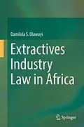 E-Book (pdf) Extractives Industry Law in Africa von Damilola S. Olawuyi