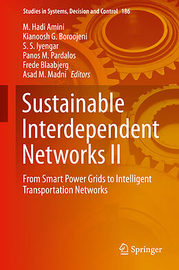 Livre Relié Sustainable Interdependent Networks II de 